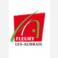 La Ville de Fleury